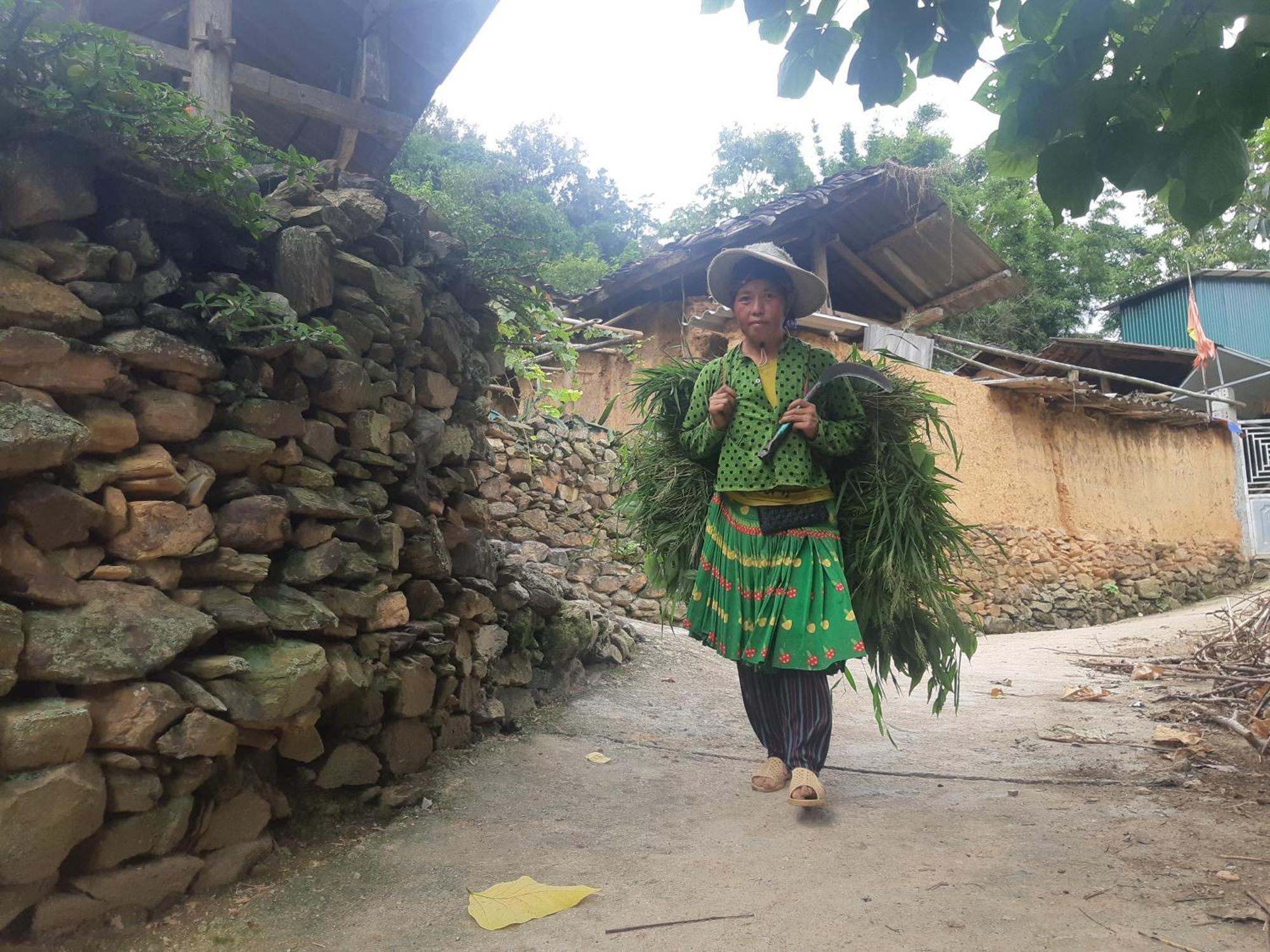 Ha Giang Historic Hotel & Tours Extérieur photo