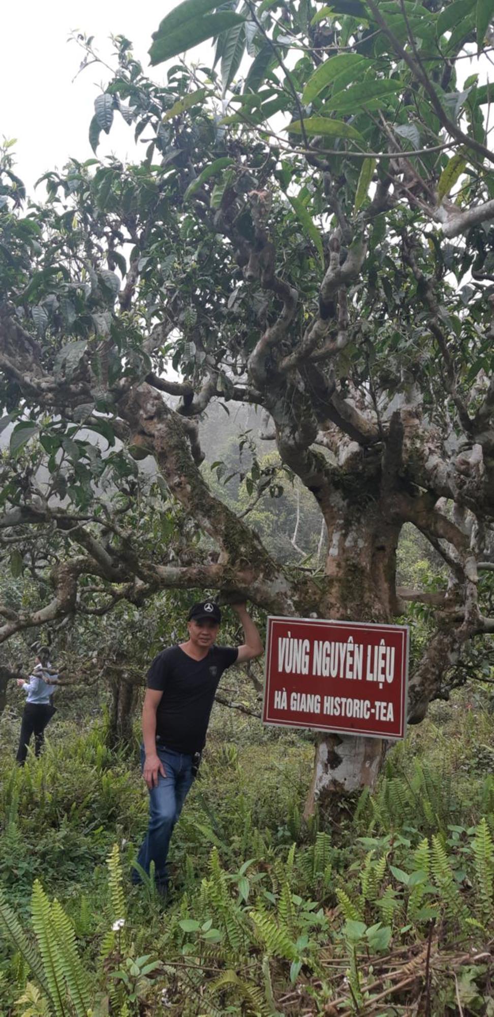 Ha Giang Historic Hotel & Tours Extérieur photo